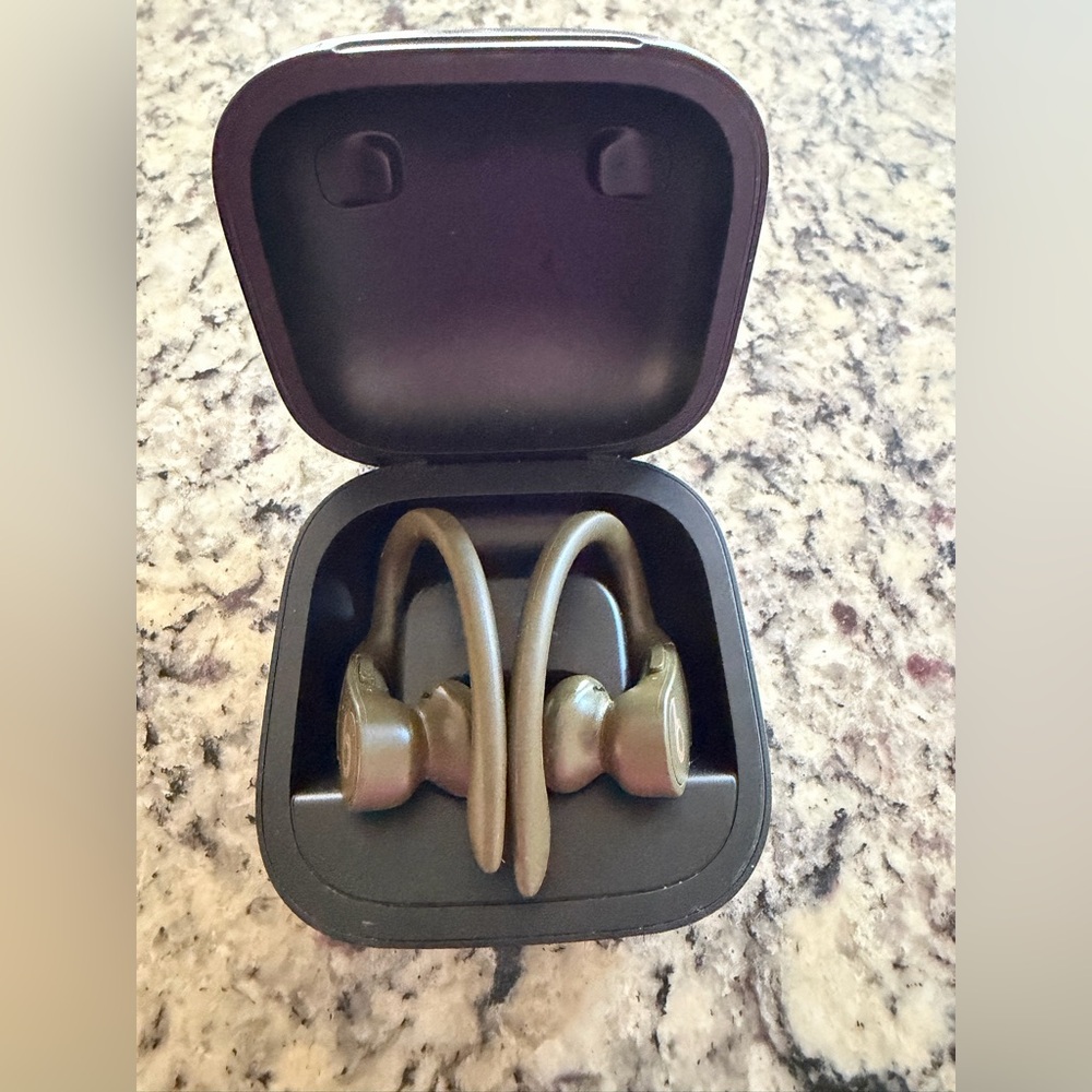 Wireless Powerbeats Pro Earbuds with Charging Case Green